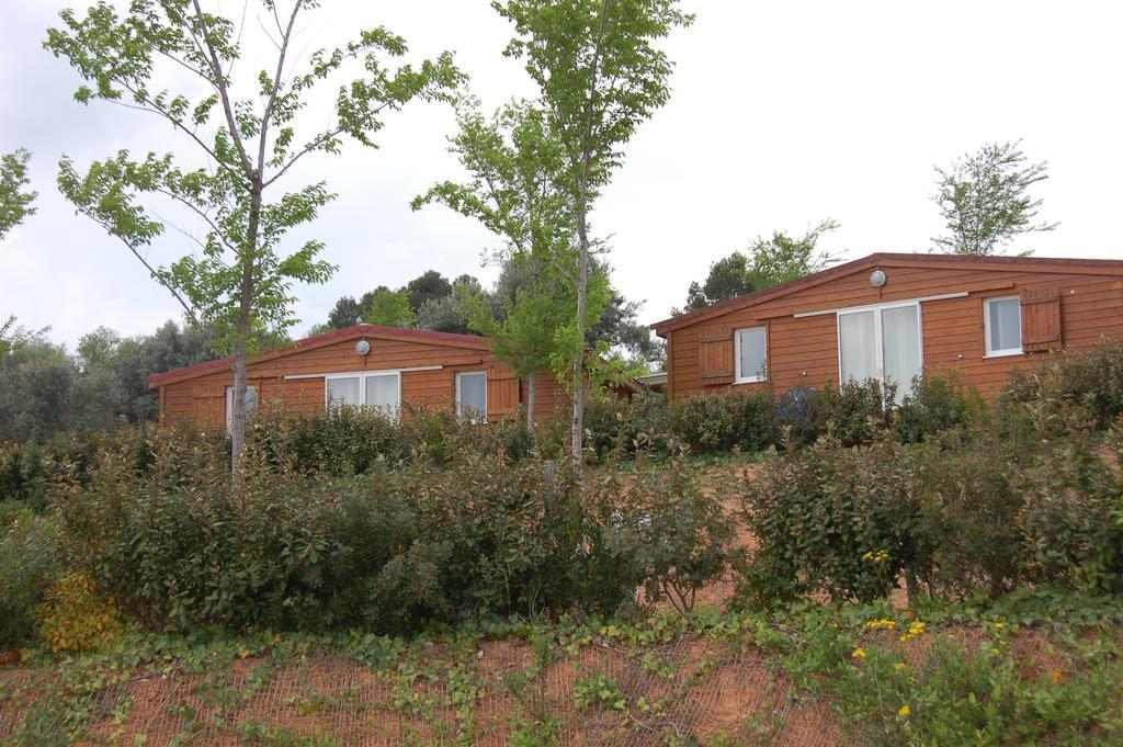 Terra Alta 2*
