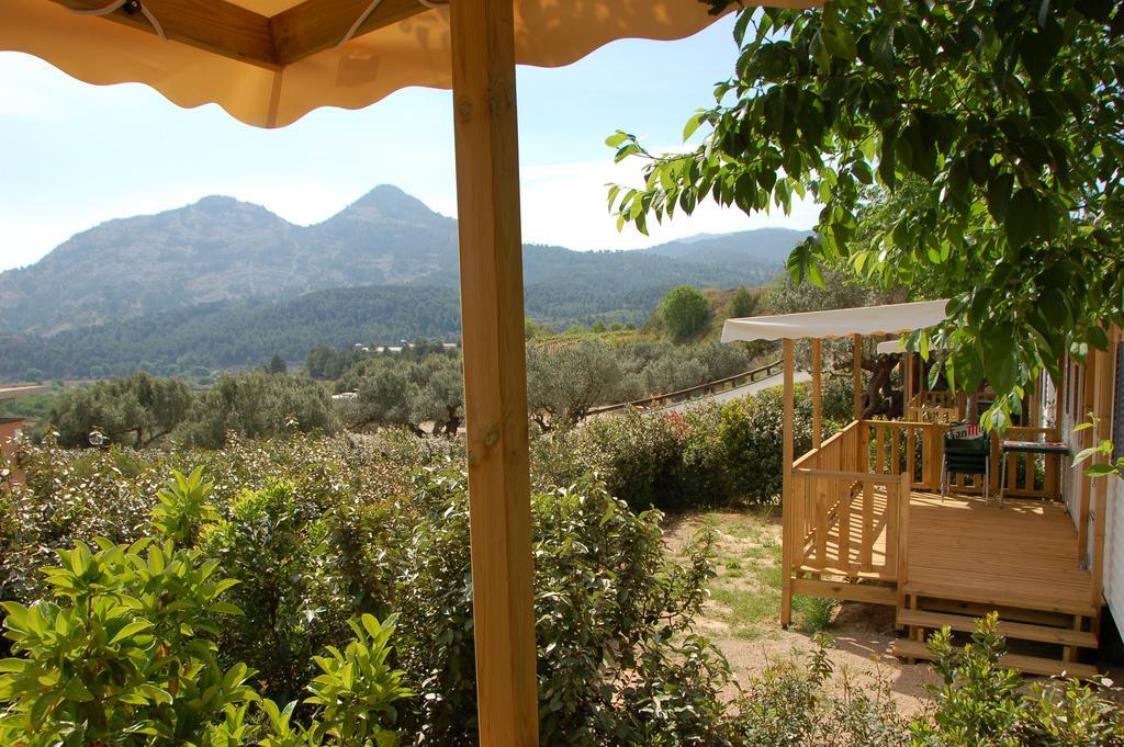 Càmping Terra Alta Bot
