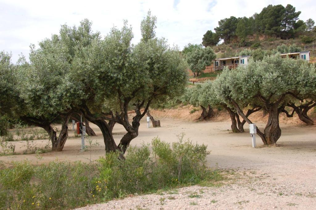 Càmping Terra Alta Aldeamento Turístico