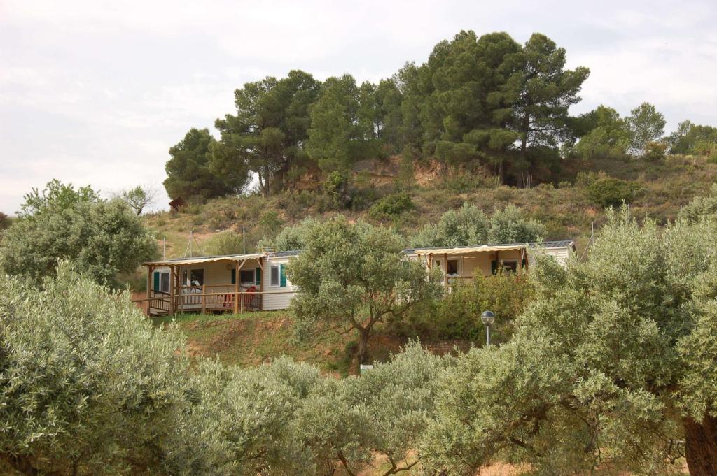 Terra Alta